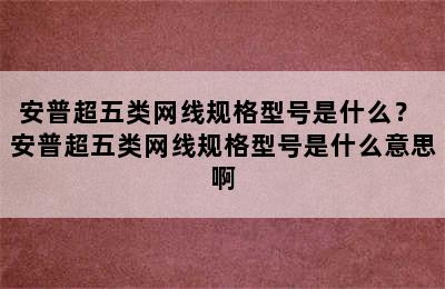 安普超五类网线规格型号是什么？ 安普超五类网线规格型号是什么意思啊